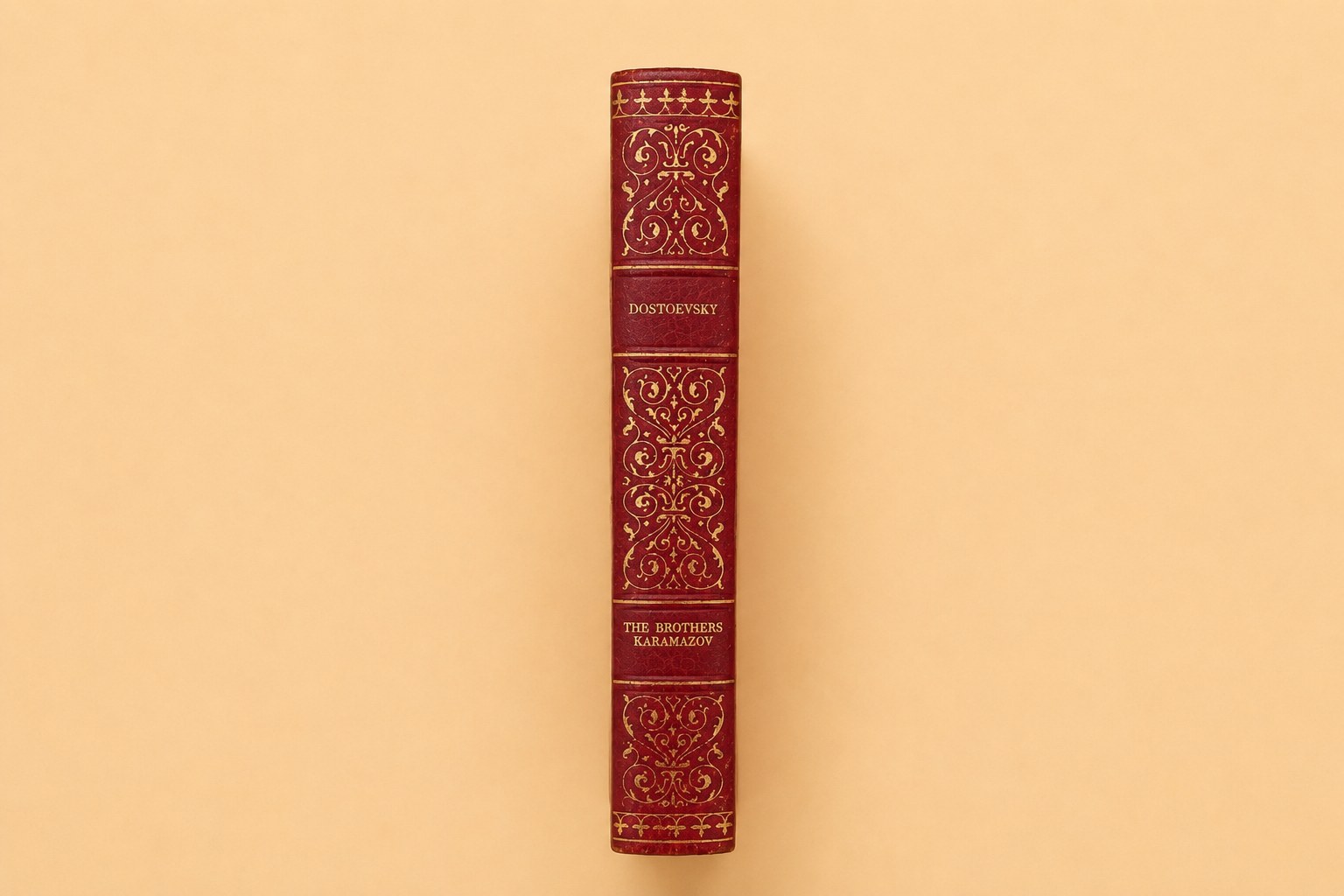 The Brothers Karamazov, Vol. I — view 4