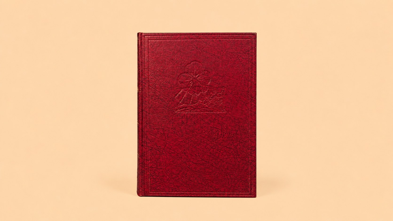 Fifty Amazing Stories of the Great War — view 2