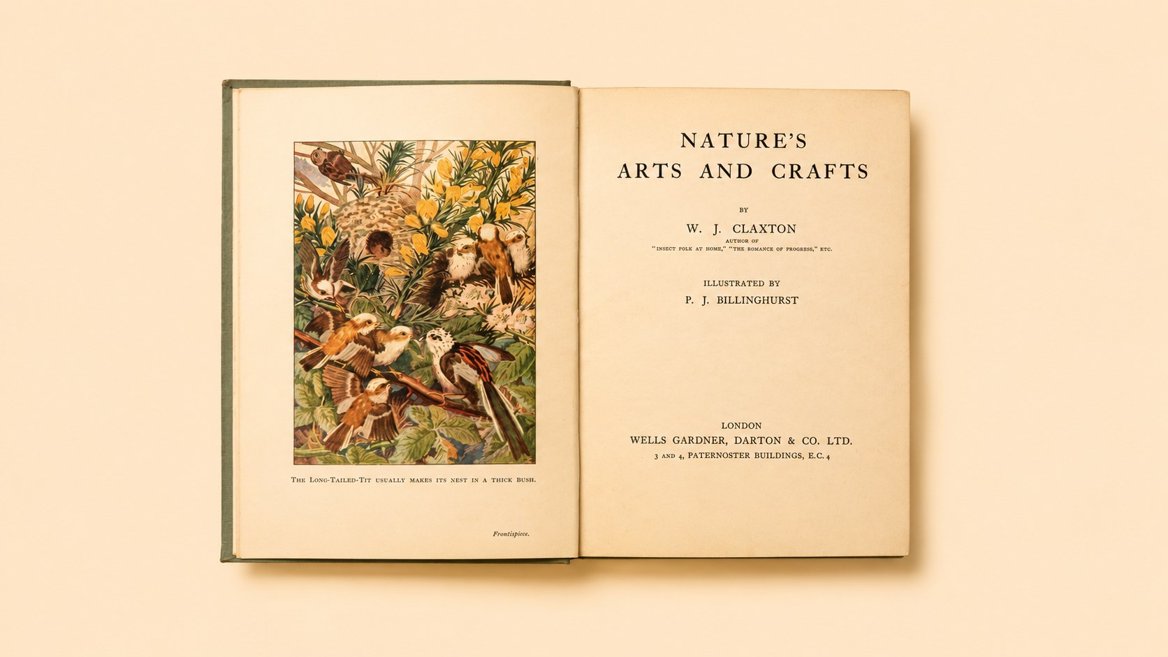Nature's Arts and Crafts — view 5