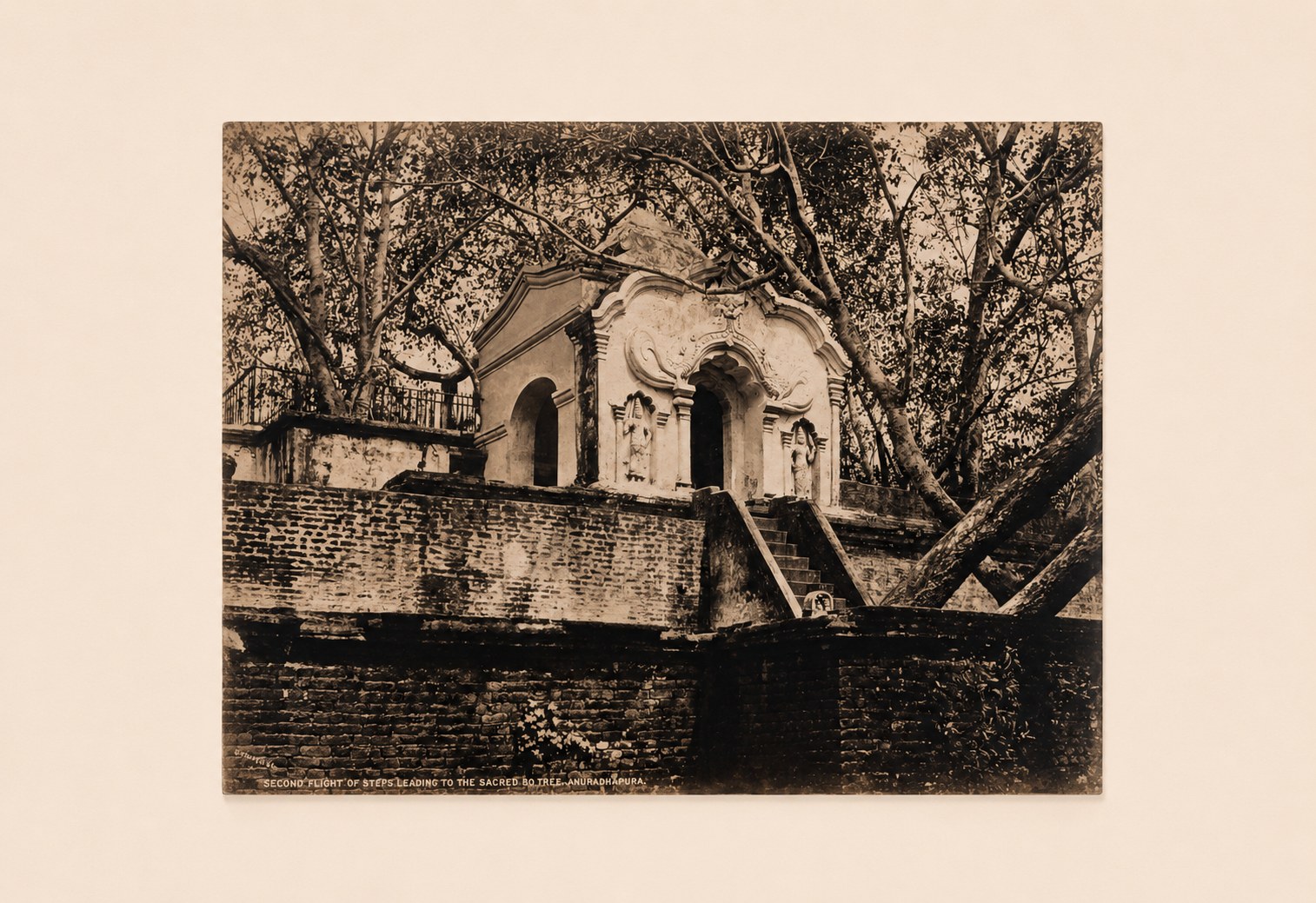 Albumen photograph by Scowen & Co. showing a worn flight of stone steps rising to an ornate shrine-gateway with a makara-arch and guardstone figures, set on a brick terrace among large trees, on the terraced approach to the Sacred Bo Tree at Anuradhapura, Ceylon.