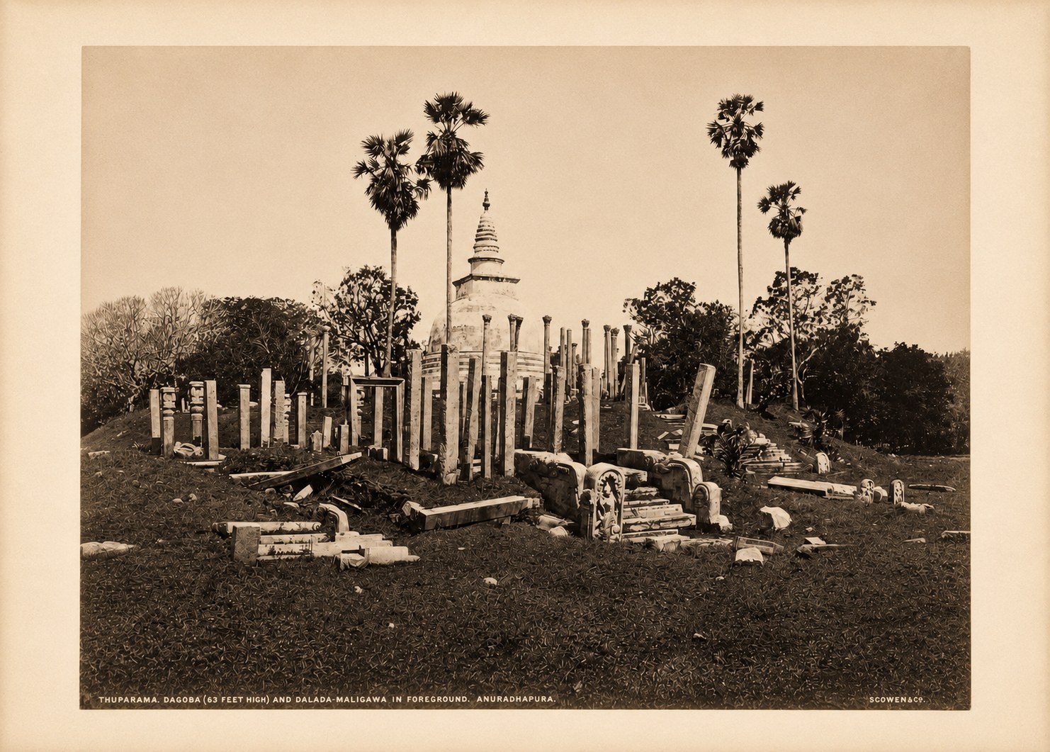 Albumen photograph by Scowen & Co. of the white bell-shaped Thuparama dagoba at Anuradhapura, Ceylon, rising behind many rows of leaning ancient stone pillars and fallen carved slabs, with tall palmyra palms against the sky.